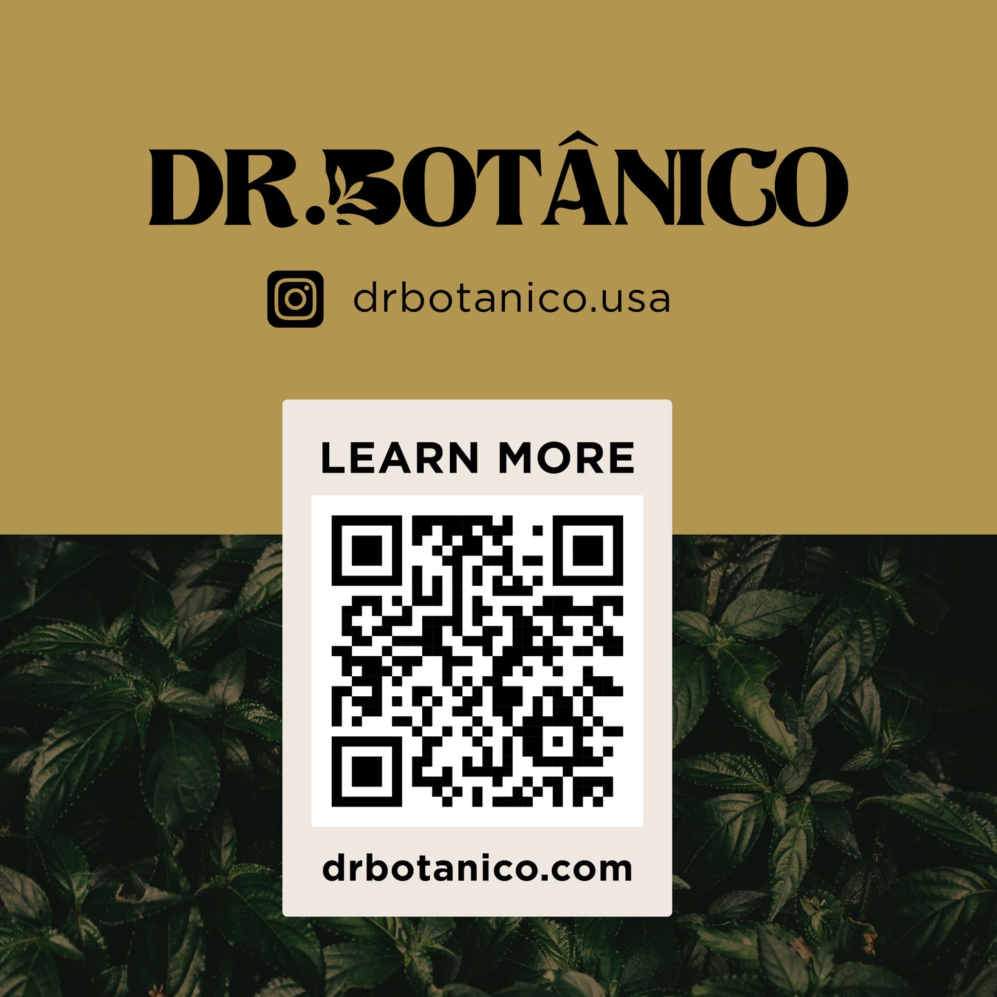 Vitamin D3 5000 IU + Calcium 1000mg – High Potency Bone Support | Dr. Botanico (60 Capsules) 
