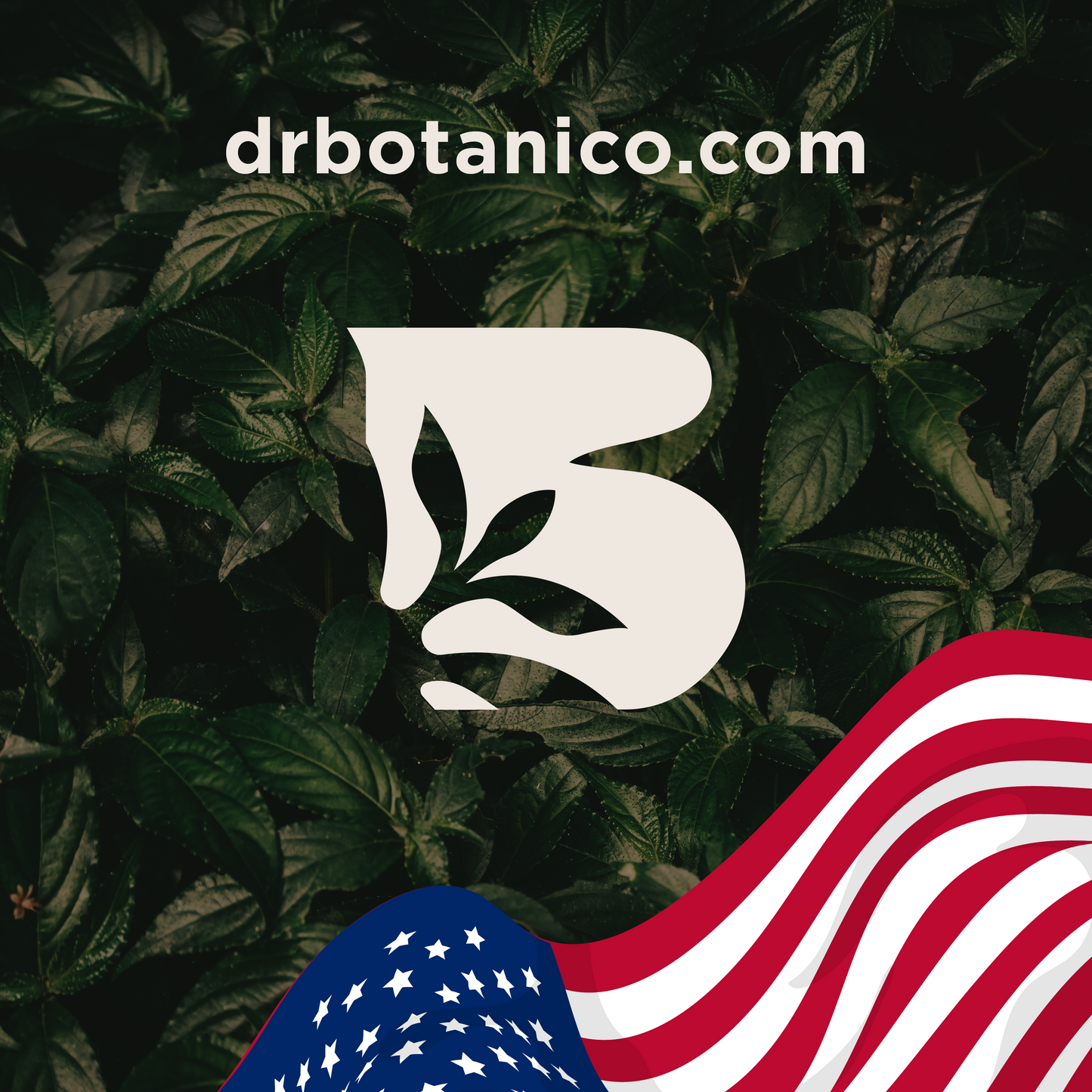 Acai Berry 800mg – Immune &amp; Skin Support | Dr. Botanico (60 Capsules)