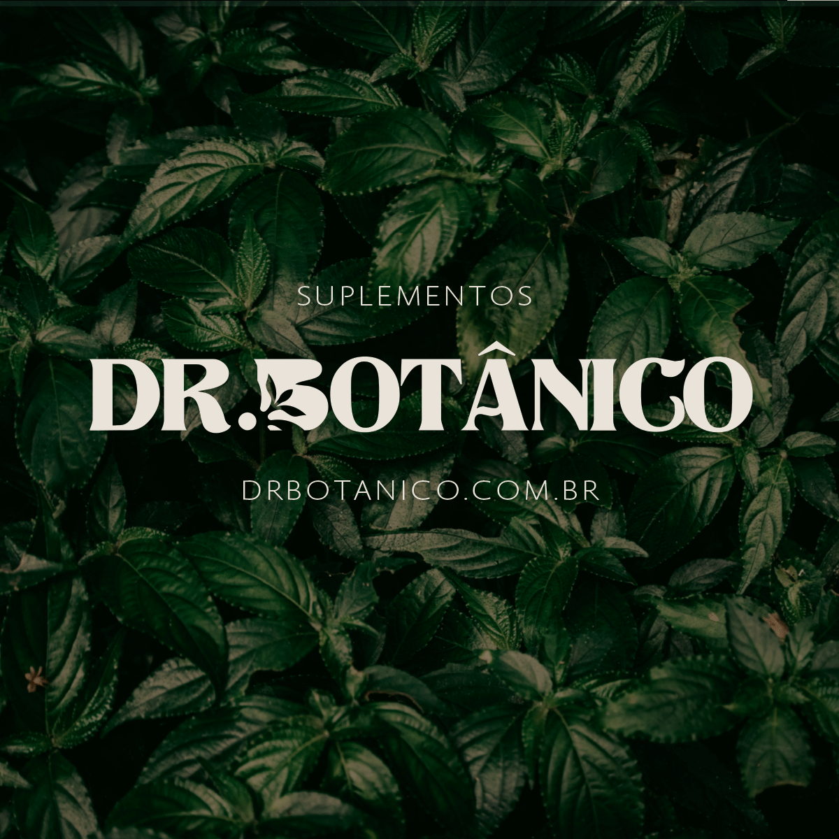 ACETILCARNITINA  1000MG 60CAPS DR. BOTÂNICO